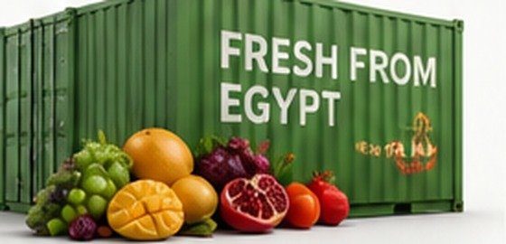 Fresh produce export from Egypt