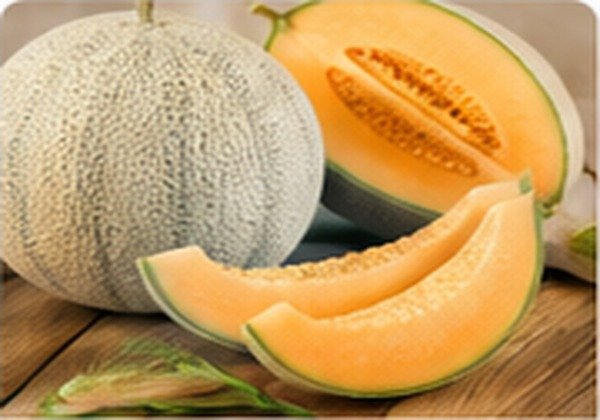 Cantaloupe - Middle East Fruit export product