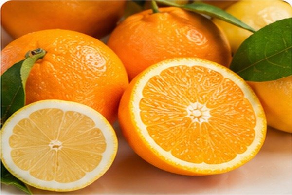 Citrus - Middle East Fruit export product