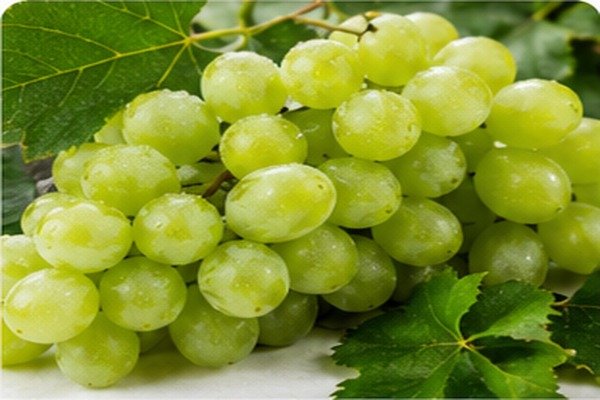 Grapes - Middle East Fruit export product