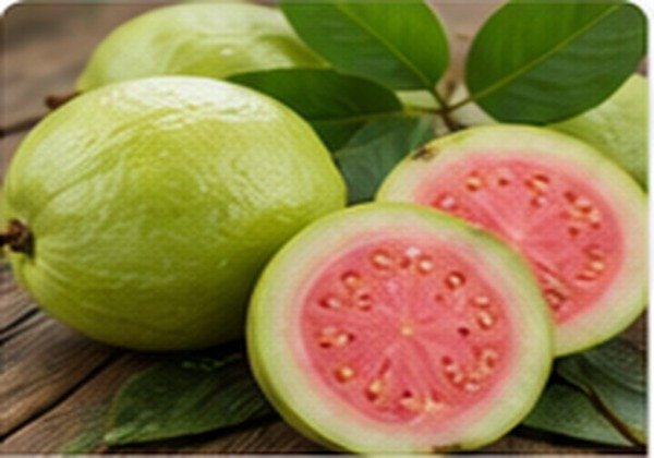 Guava - Middle East Fruit export product