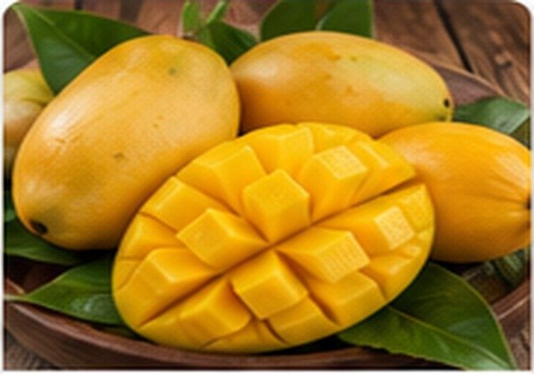 Mango - Middle East Fruit export product