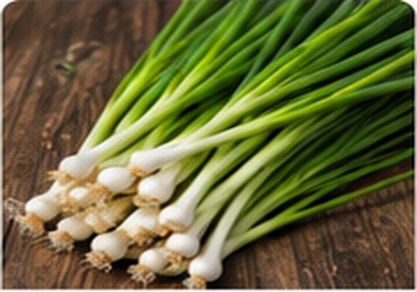 Spring Onions - Middle East Fruit export product