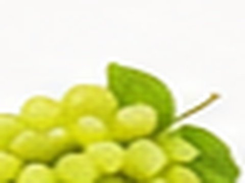 Egyptian grapes export